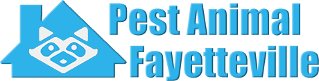 Fayetteville Wildlife and Animal Removal